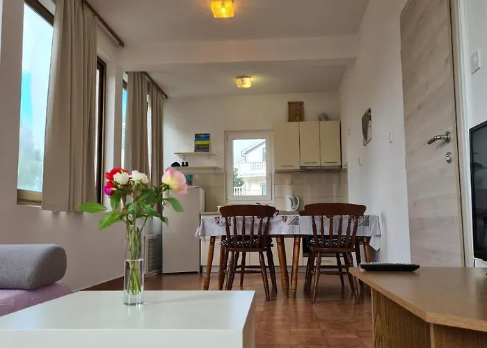 Apartament Ribarić Palit